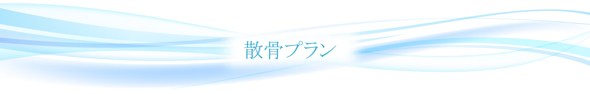 散骨プラン