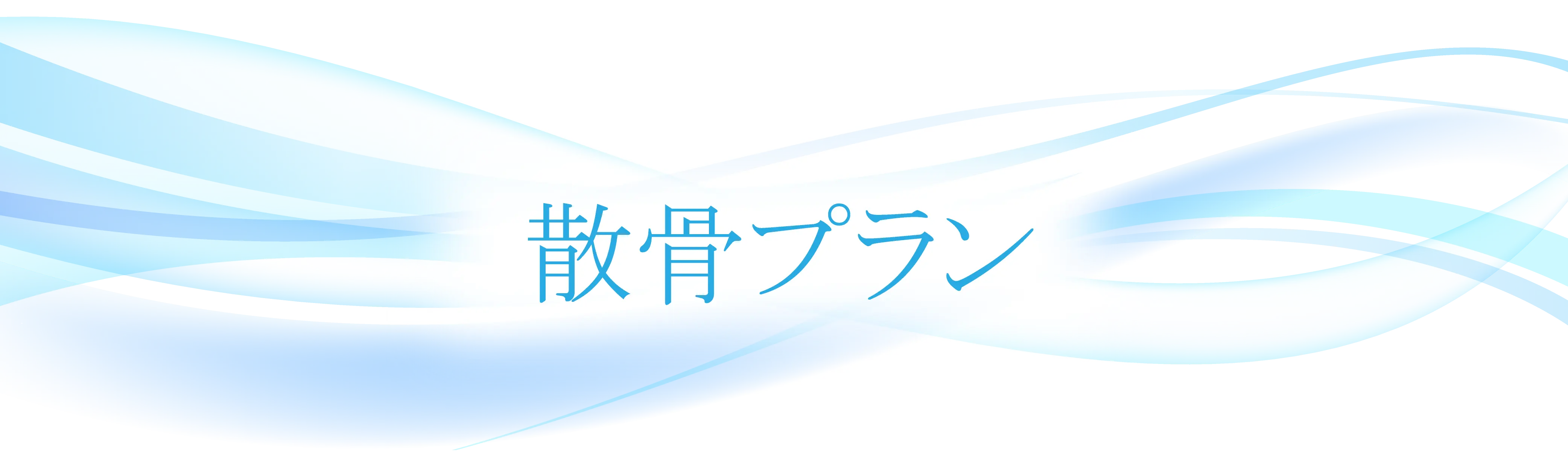 散骨プラン